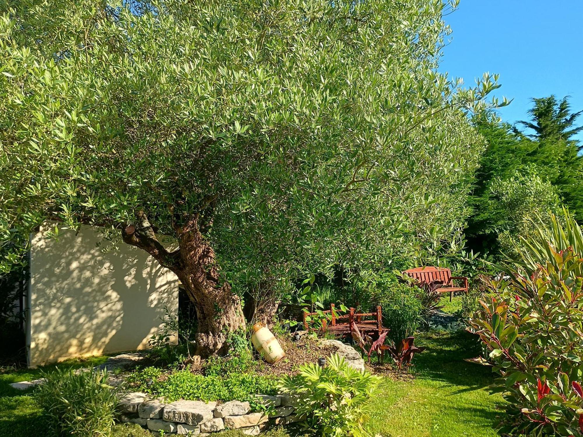 Gite Les Rosiers Au Domaine Des Sauvineries Saint-Germain-de-Princay Eksteriør billede